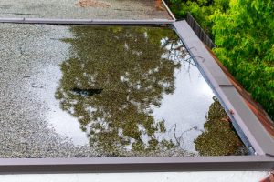 flat roof pooling