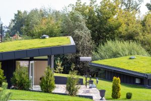 green roof in Cedar Park